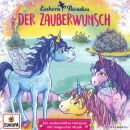 Der Zauberwunsch (Various)