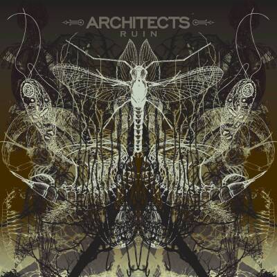 Architects - RUIN