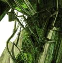 Wife - STANDARD NATURE