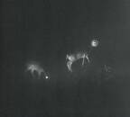 Bliss Signal - BLISS SIGNAL