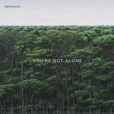 Semisonic - Youre Not Alone
