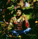 Voulzy Laurent - Saisons, Le Double Best Of