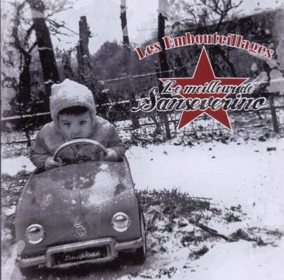 Sanseverino - Le Meilleur De Sanseverino