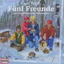 Fünf Freunde - 093 / Und Das Geheimnis Des Winterwaldes