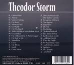 Storm Theodor - DU GRAUE STADT AM MEER