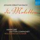 Bach Johann Sebastian - Bach: Die Motetten (Amarcord /...