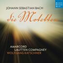 Bach Johann Sebastian - Bach: Die Motetten (Amarcord /...