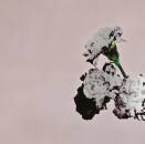 Legend John - Love In The Future (Special Edition)