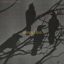 Indochine - 7000 danses