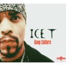 Ice-T - Gang Culture