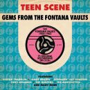 Teen Scene - Gems From The Fontana Vaults 1958-62