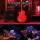 Reverend Horton Heat - Live At The Fillmore