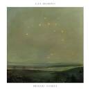 Beshevli Ilya - PRIMARY SOURCE