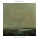 Beshevli Ilya - PRIMARY SOURCE