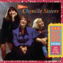 Chenille Sisters - Big Picture & Other Songs