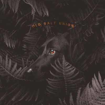 Old Salt Union - Where The Dogs Dont Bite